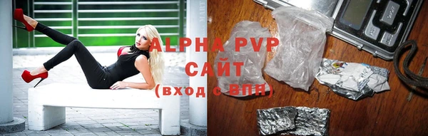 дживик Белокуриха