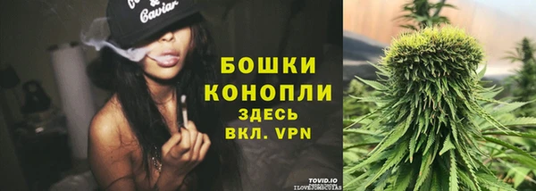 дживик Белокуриха