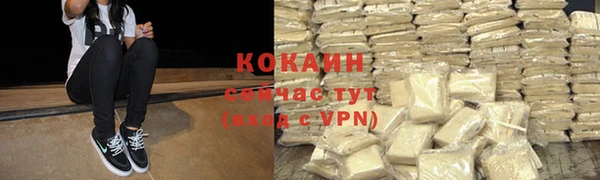 дживик Белокуриха
