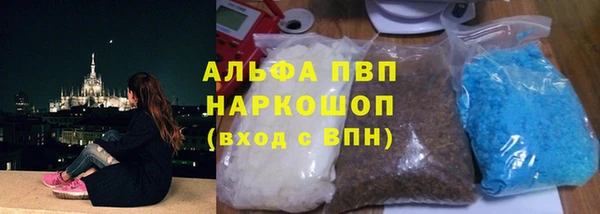 дживик Белокуриха