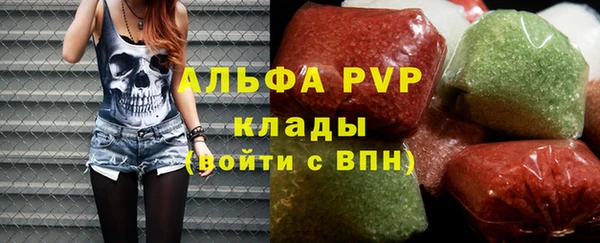 дживик Белокуриха