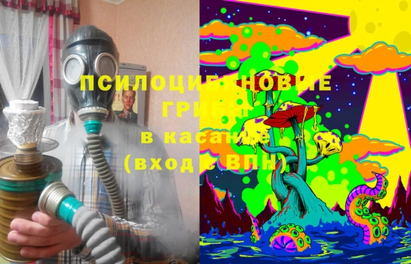 дживик Белокуриха